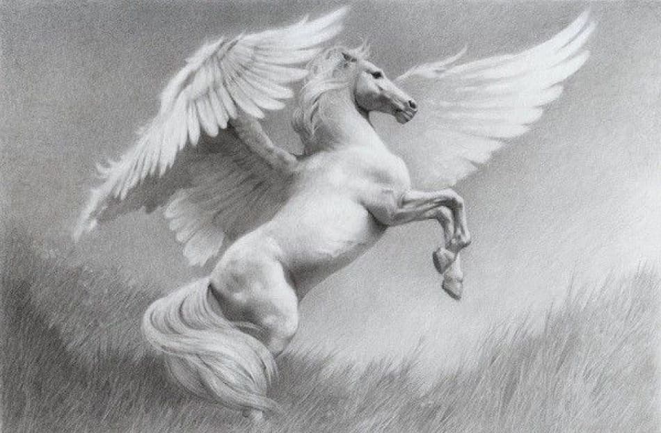 pegaso simbolo - Pegaso Digital Studio